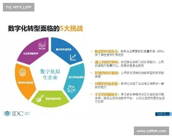 体彩开奖揭秘幸运号码背后的数字故事与未来趋势分析 体彩开奖揭秘幸运号码背后的数字故事与未来趋势分析